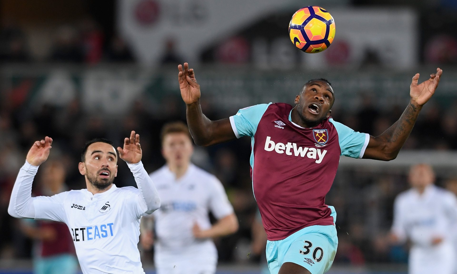 己的價值 己的價值