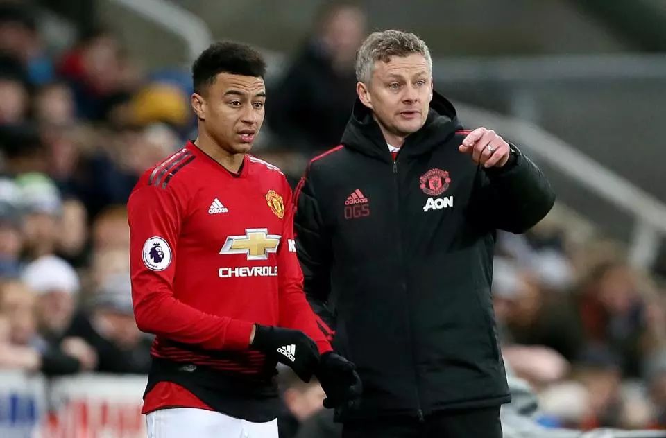 维罗纳希望 维罗纳希望